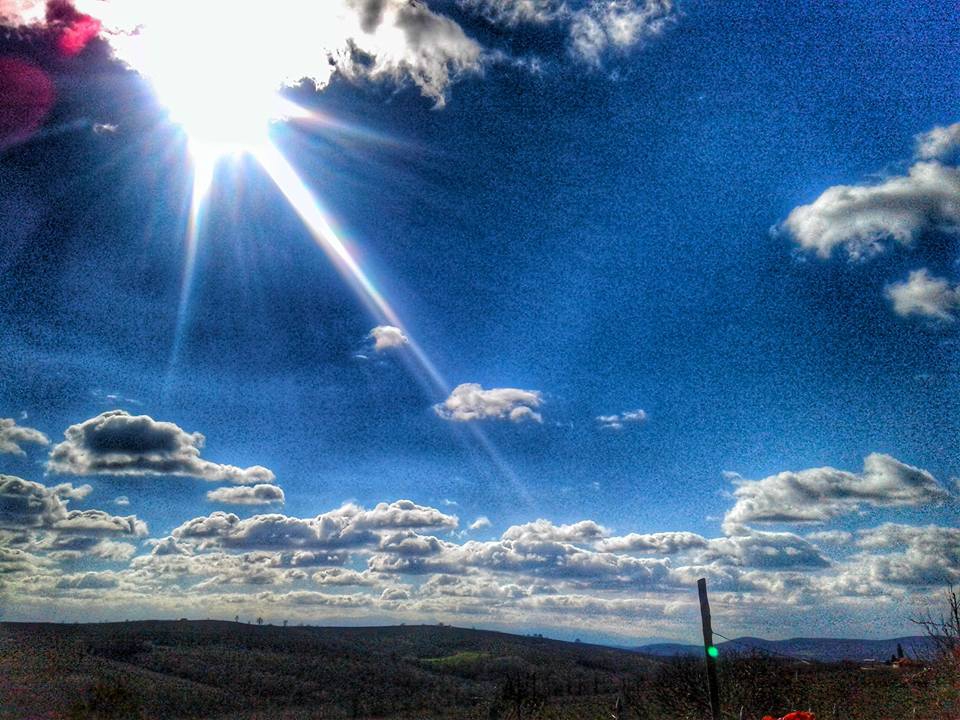 Ferizli Sarıahmetler Köyü Resimleri 15