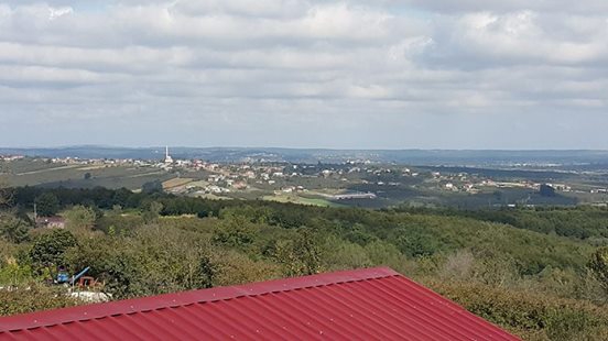 Ferizli Sarıahmetler Köyü Resimleri 2