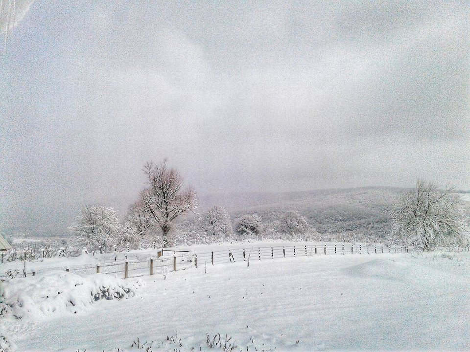 Ferizli Sarıahmetler Köyü Resimleri 6