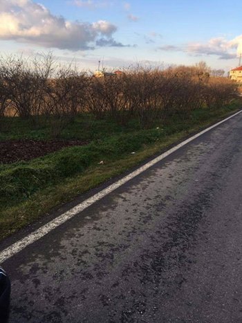 Ferizli Sarıahmetler Köyü Resimleri 8