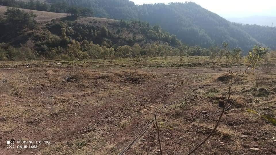 Kilis Karacaören Köyü Resimleri 5