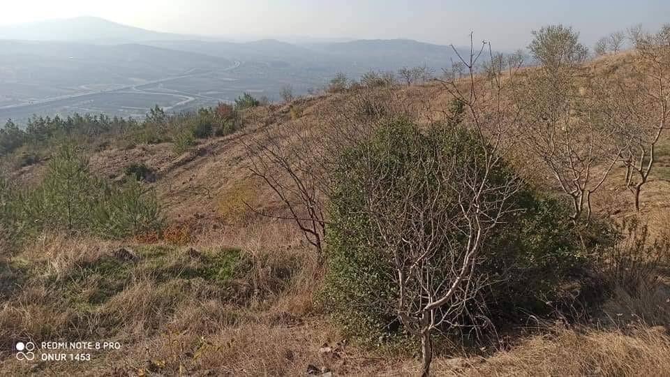 Kilis Karacaören Köyü Resimleri 6