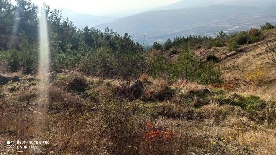 Kilis Karacaören Köyü Resimleri 8