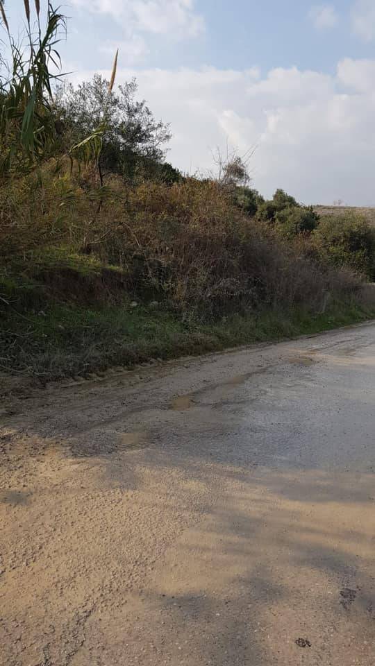 Akdeniz Camili Köyü Resimleri 4