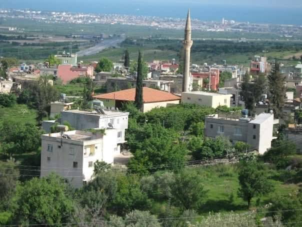 Akdeniz Camili Köyü Resimleri 5