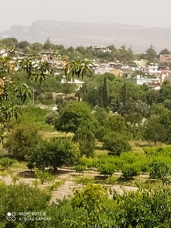 Akdeniz Camili Köyü Resimleri 6