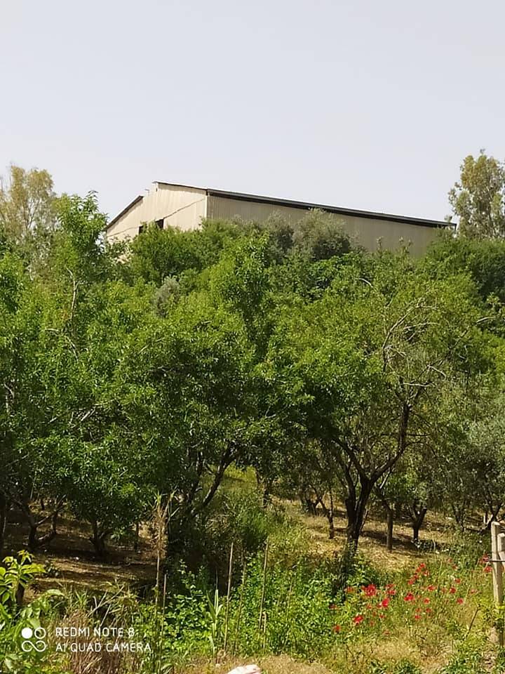 Akdeniz Camili Köyü Resimleri 7