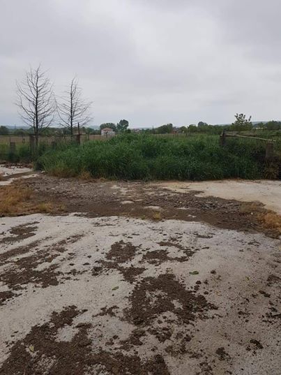 Ferizli Seyifler Köyü Resimleri 6