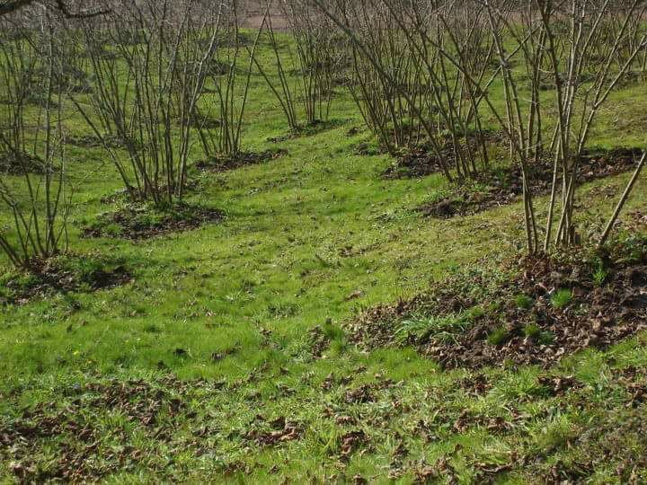 Ferizli Seyifler Köyü Resimleri 7