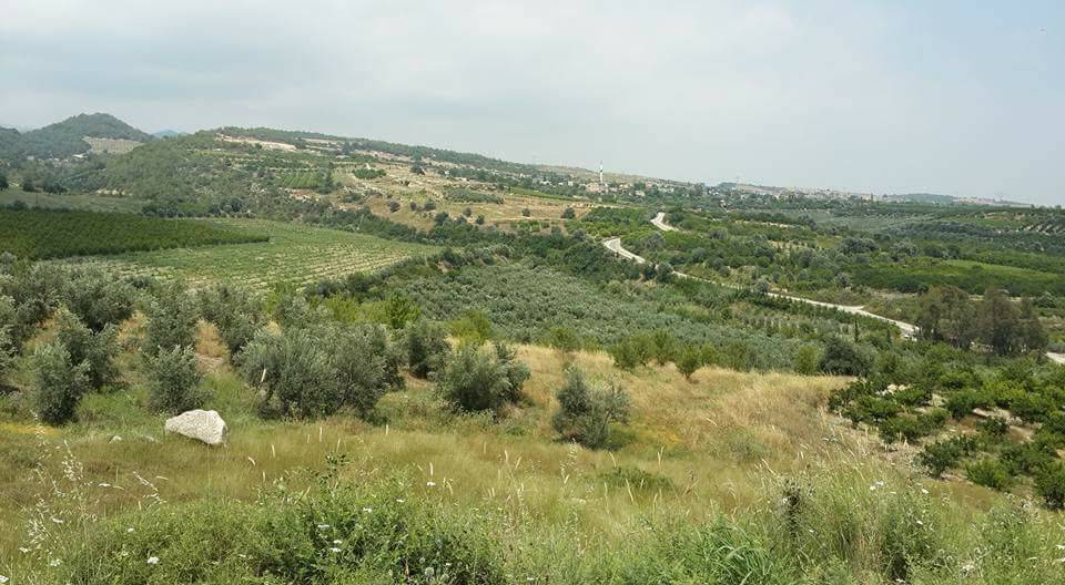 Akdeniz Adanalıoğlu Limonlu Köyü Resimleri 1