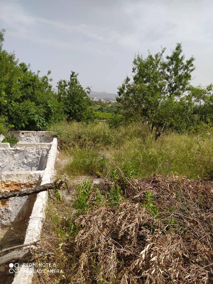 Akdeniz Adanalıoğlu Limonlu Köyü Resimleri 5