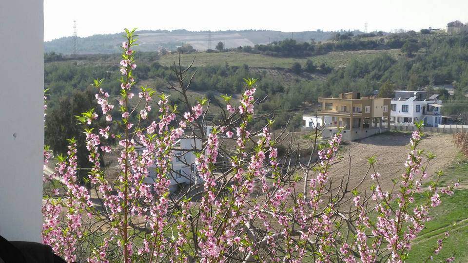 Akdeniz Bağcılar-İhsaniye Köyü Resimleri 2