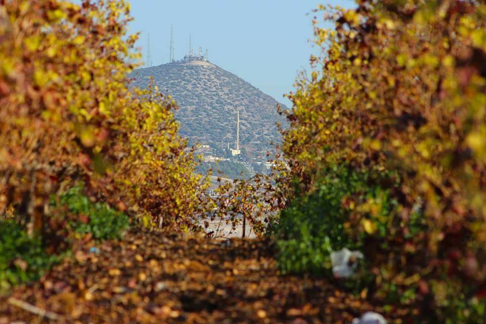Akdeniz Bağlarbaşı Köyü Resimleri 5