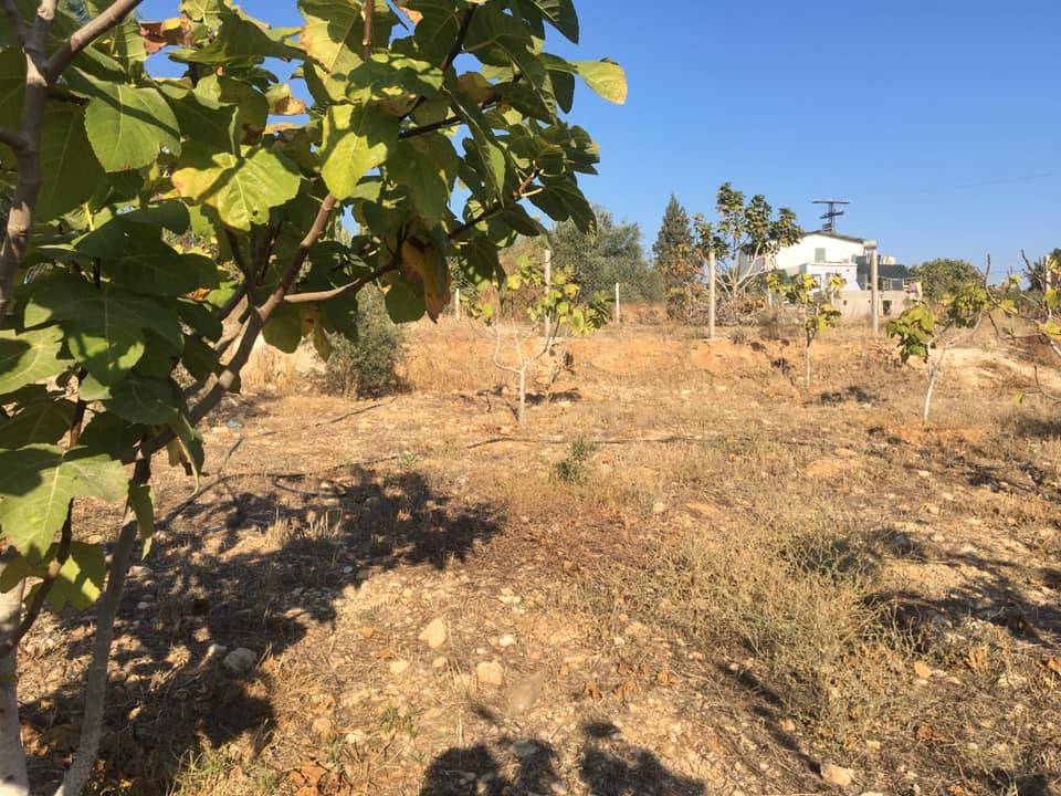 Akdeniz Bağlarbaşı Köyü Resimleri 8