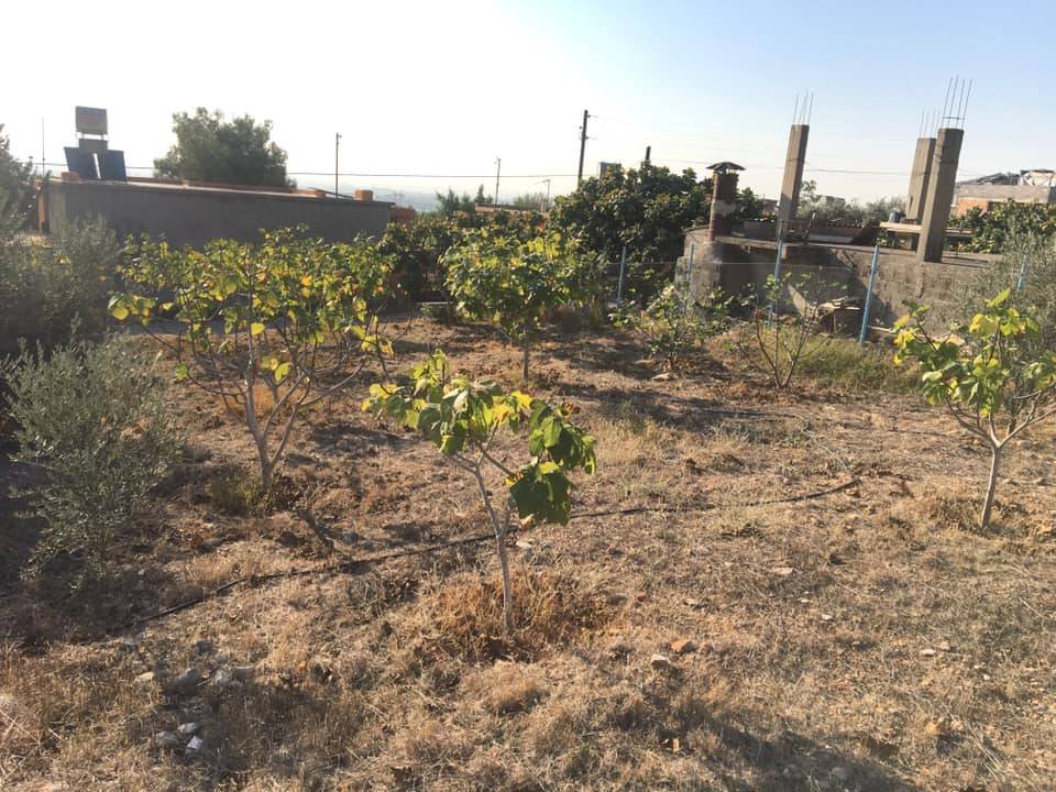 Akdeniz Bağlarbaşı Köyü Resimleri 9