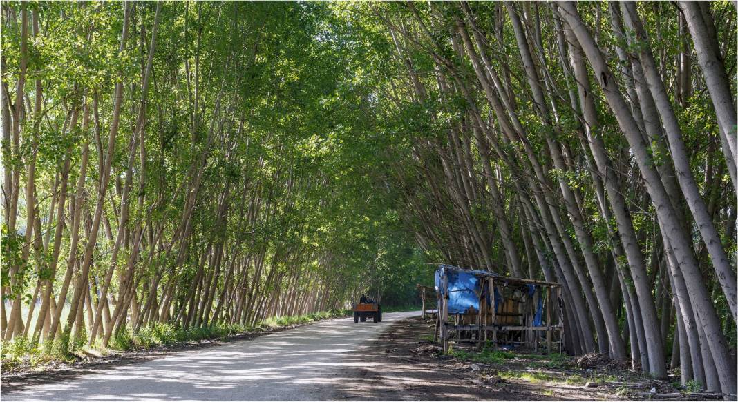 Akdeniz Bahçe Köyü  Resimleri 1
