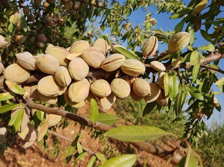 Akdeniz Bahçe Köyü  Resimleri 10