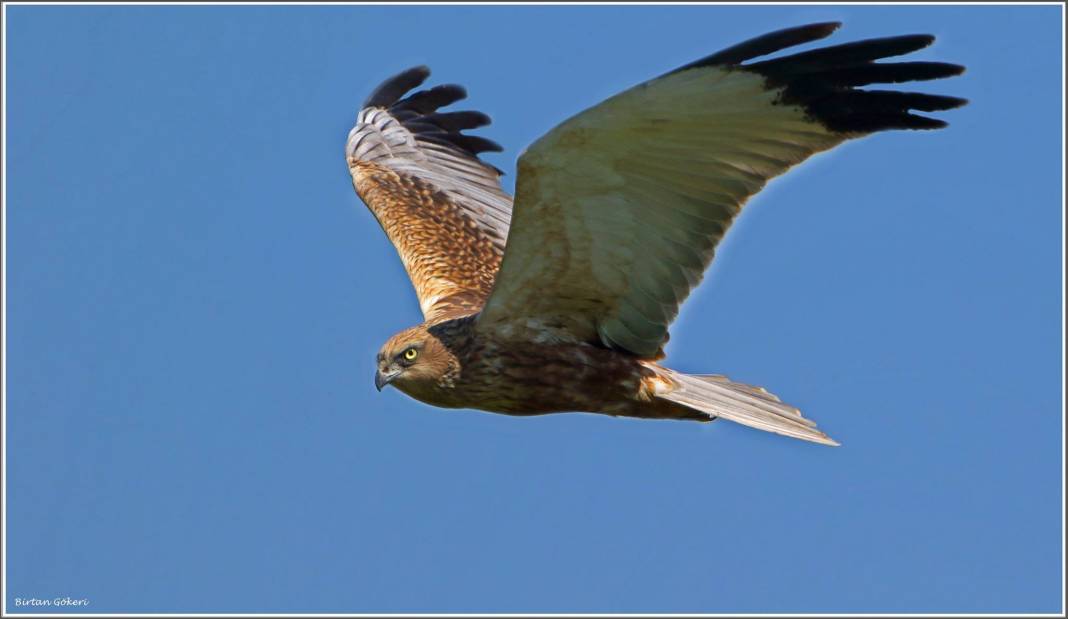 Akdeniz Barış Köyü Resimleri 3