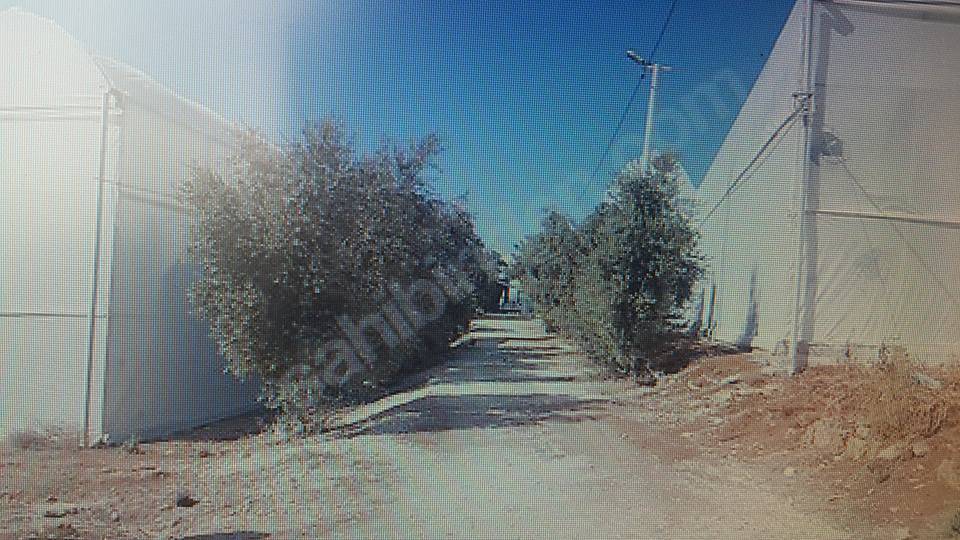 Akdeniz Bekirde Köyü Resimleri 2