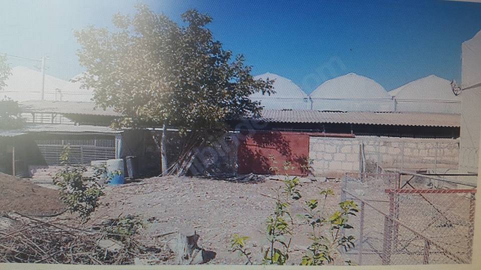 Akdeniz Bekirde Köyü Resimleri 3