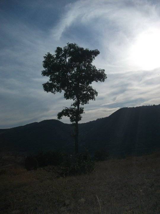 Akdeniz Cami Şerif Köyü Resimleri 2