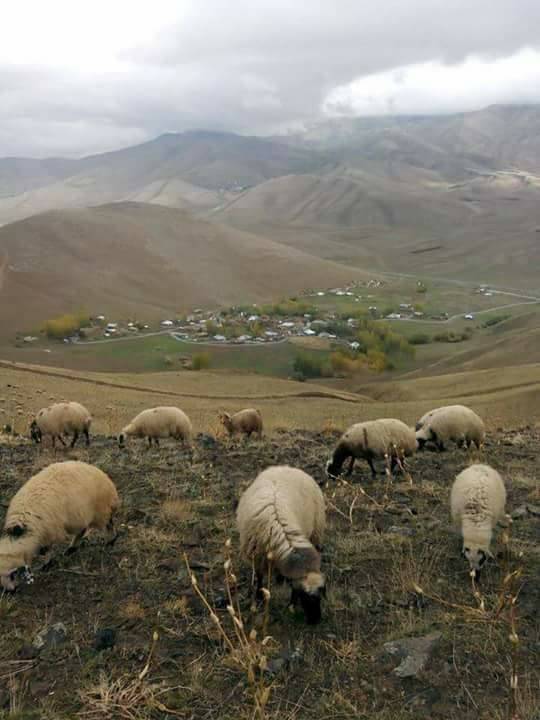 Van Ağaçlık Köyü Resimleri 5