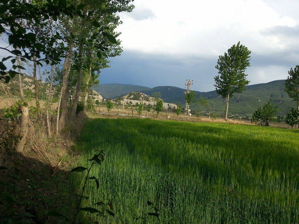 Van Akçabük Köyü Resimleri 4