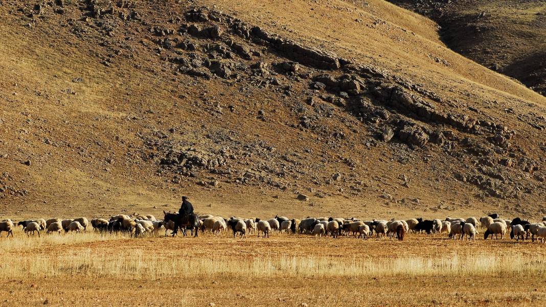 Van Aşağınarlıca Köyü Resimleri 1