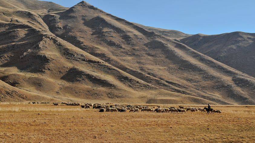 Van Aşağınarlıca Köyü Resimleri 2