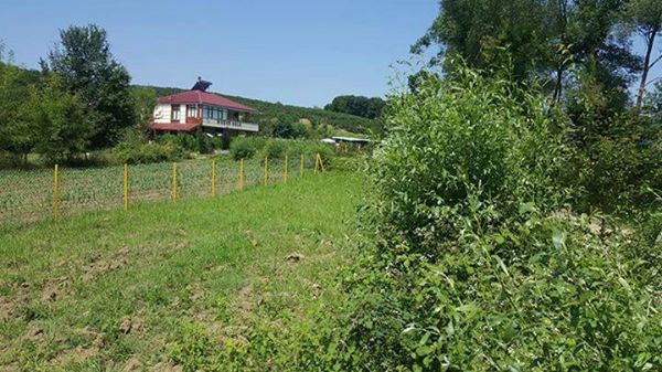 Ferizli Tokat Köyü Resimleri 1