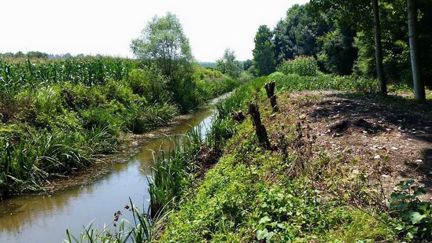 Ferizli Tokat Köyü Resimleri 11