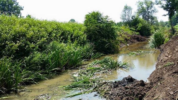 Ferizli Tokat Köyü Resimleri 12