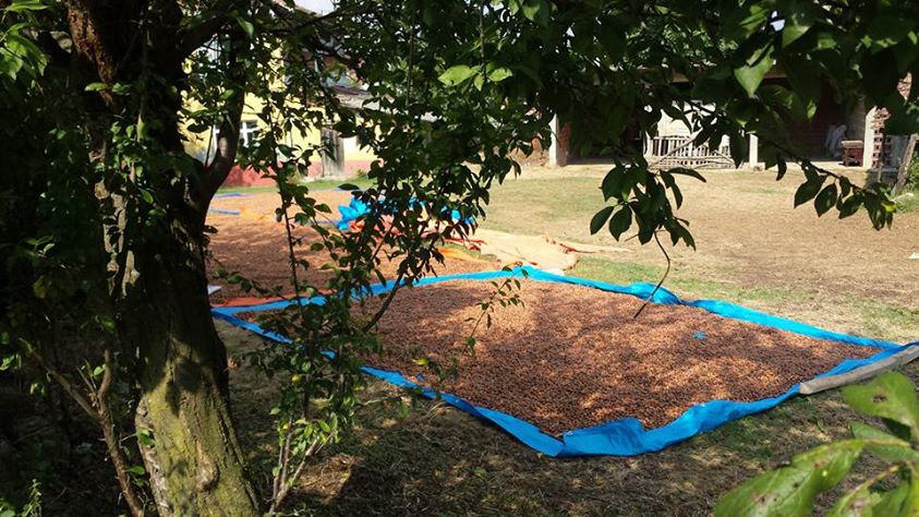 Ferizli Tokat Köyü Resimleri 4