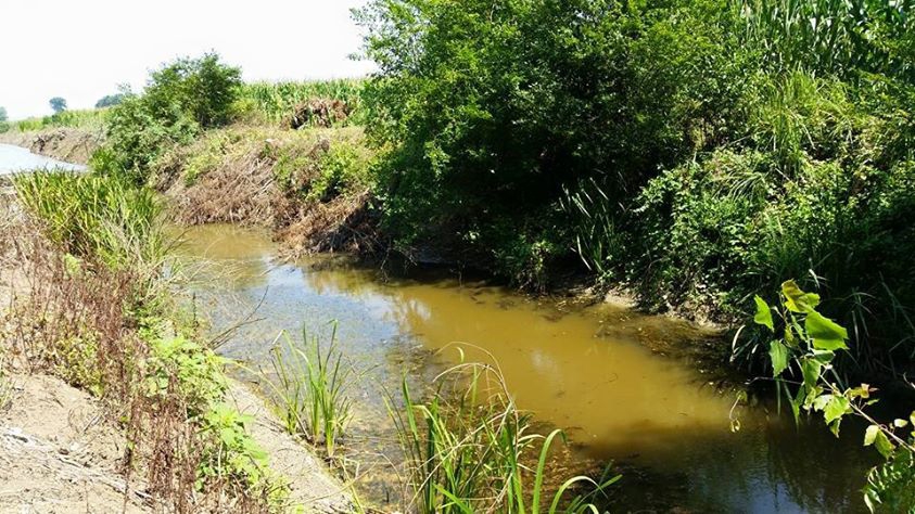 Ferizli Tokat Köyü Resimleri 6