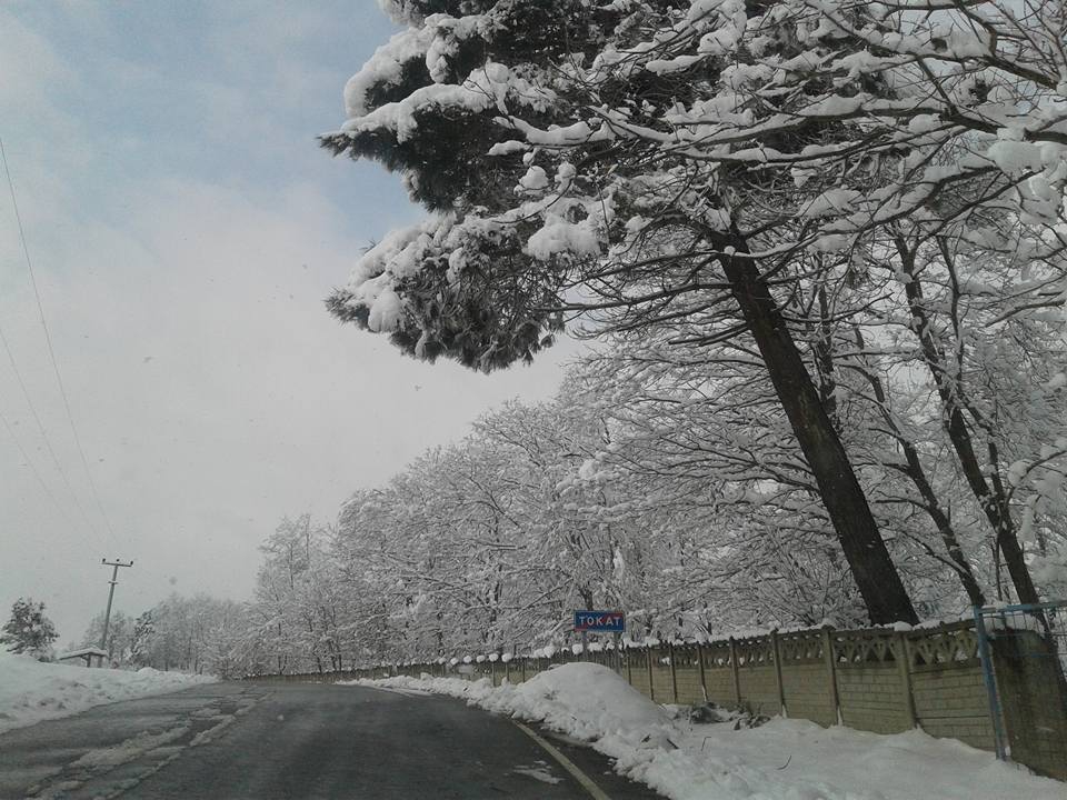 Ferizli Tokat Köyü Resimleri 8