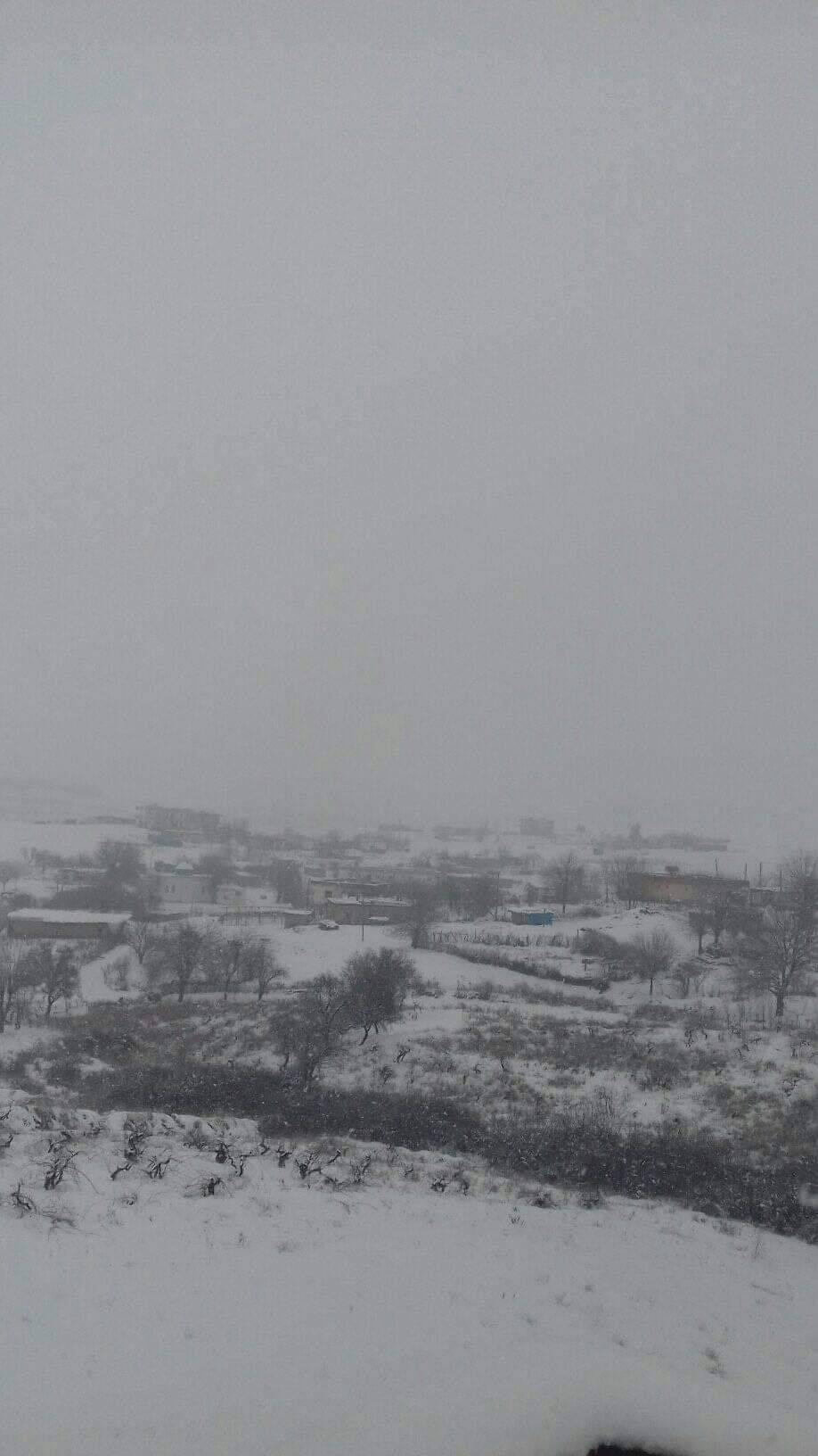 Kozluk Çamlıca Köyü Resimleri 3