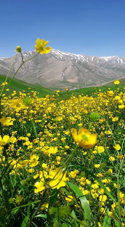 Van Derebaşı Köyü Resimleri 1