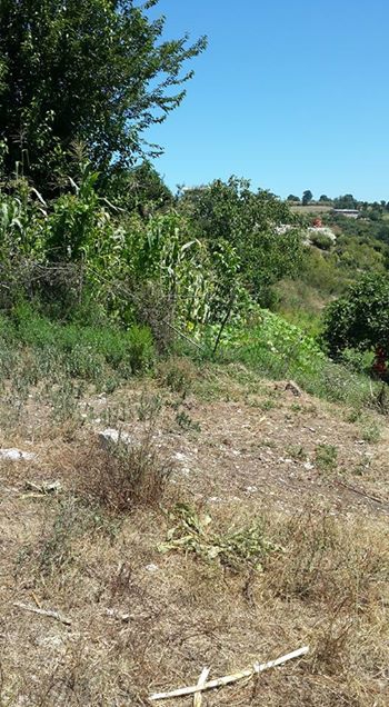 Karasu Darıçayırı Köyü Resimleri 5