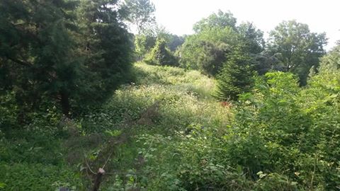 Karasu Darıçayırı Köyü Resimleri 7