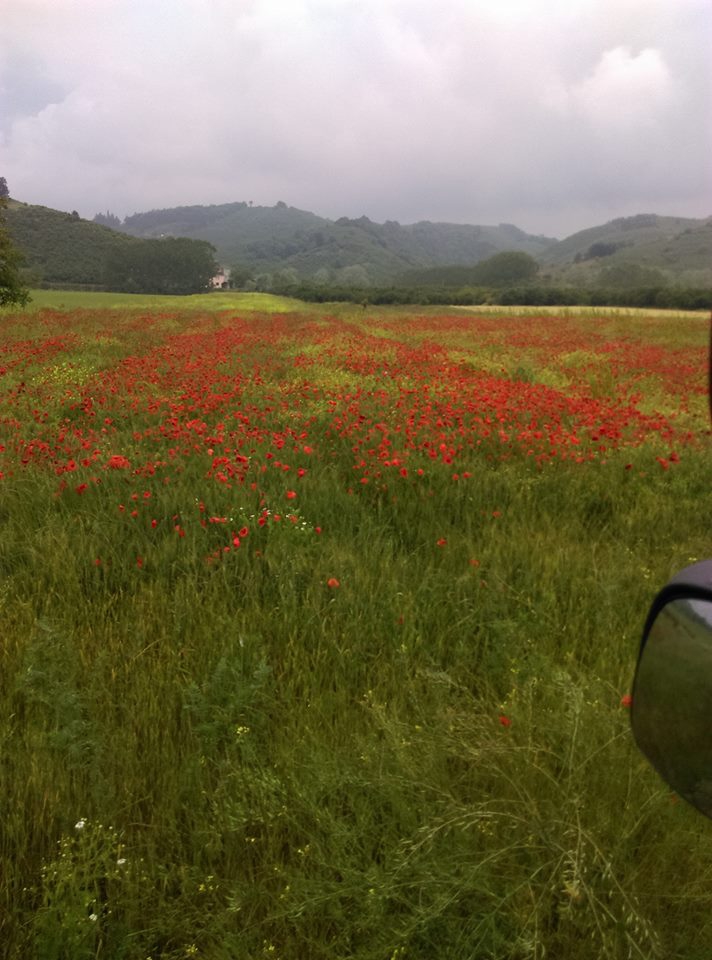 Karasu Darıçayırı Köyü Resimleri 9