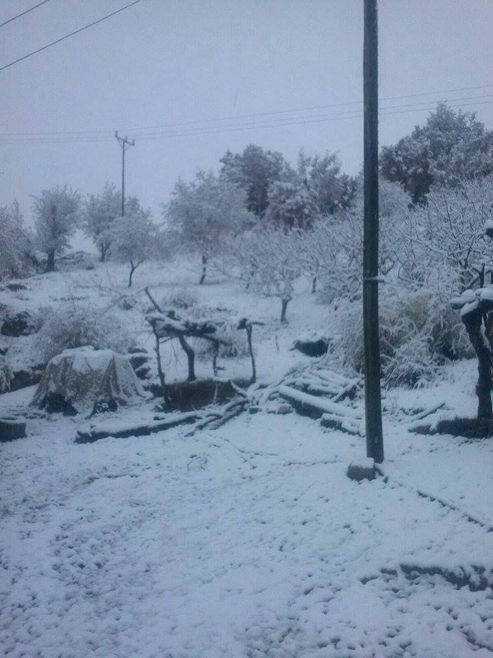 Kozluk Çayhan Köyü Resimleri 1