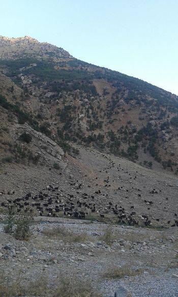 Van Görentaş Köyü Resimleri 4