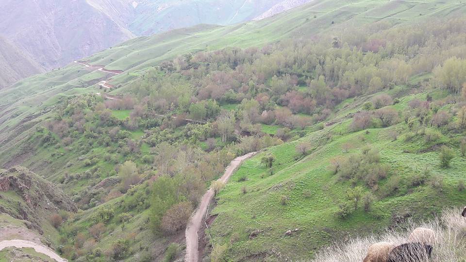 Van Işınlı Köyü Resimleri 6