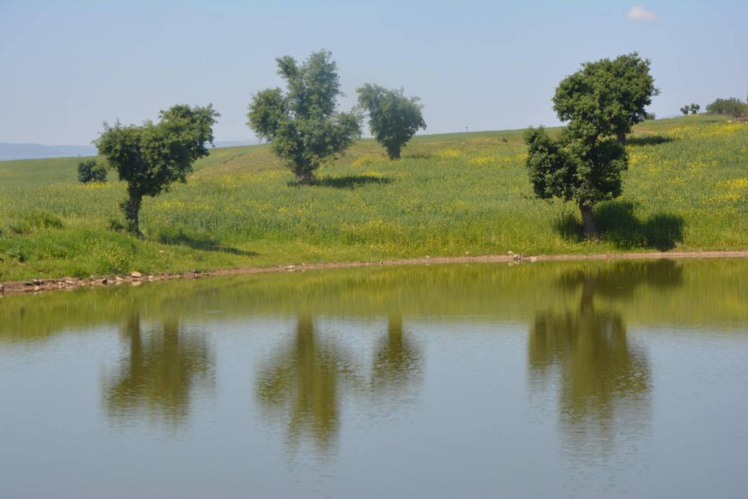 Kozluk Danagözü Köyü Resimleri 2