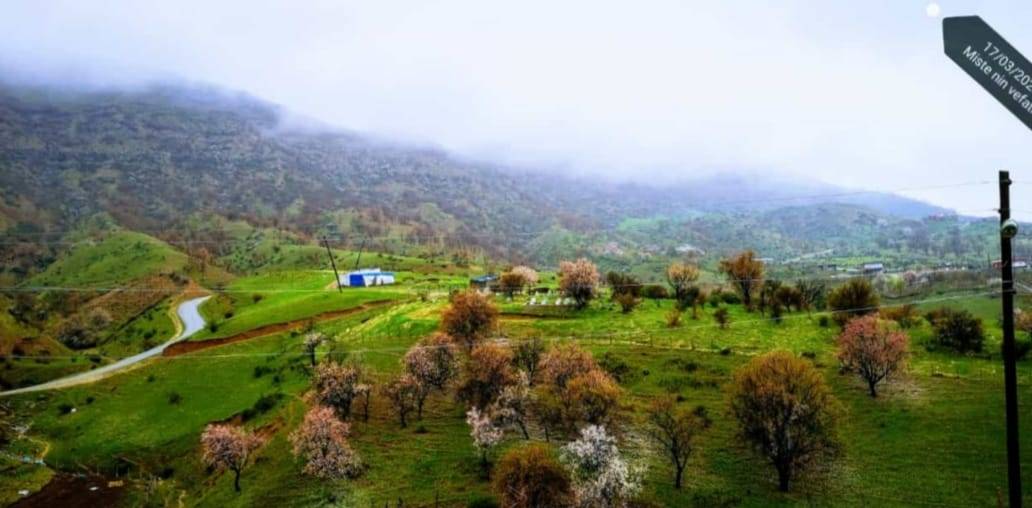 Kozluk Derince Köyü Resimleri 8