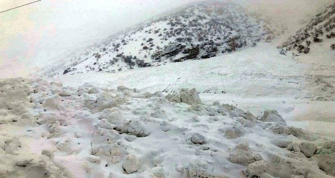 Van Korulu Köyü Resimleri 2