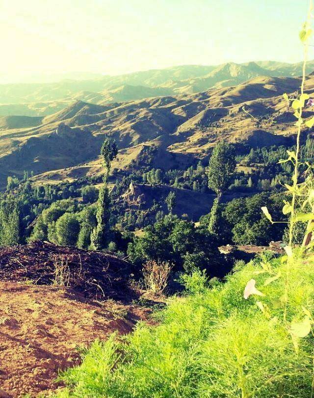 Van Narlı Köyü Resimleri 1