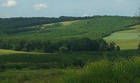 Karasu Gölköprü Köyü Resimleri 1