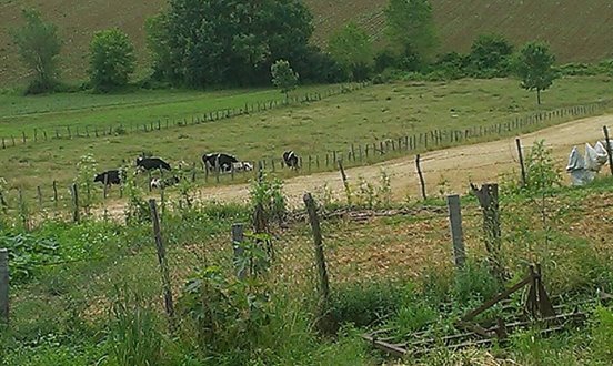 Karasu Gölköprü Köyü Resimleri 12