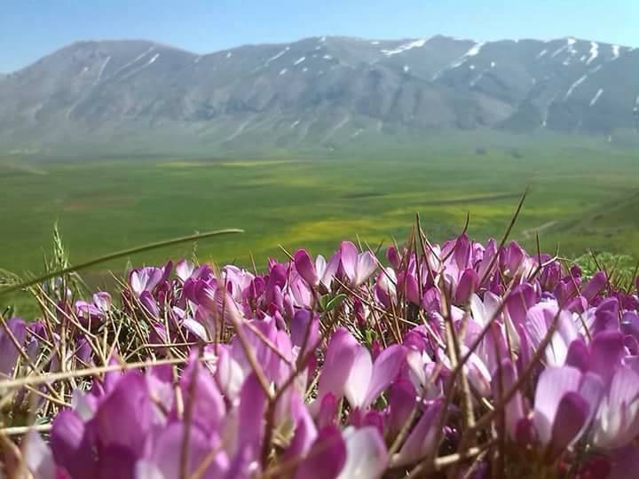 Van Uzuntekne Köyü Resimleri 4